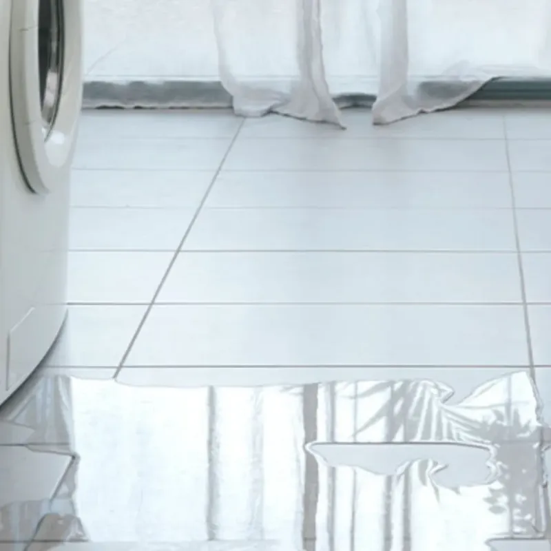 Appliance Leak Cleanup in Jasper, GA