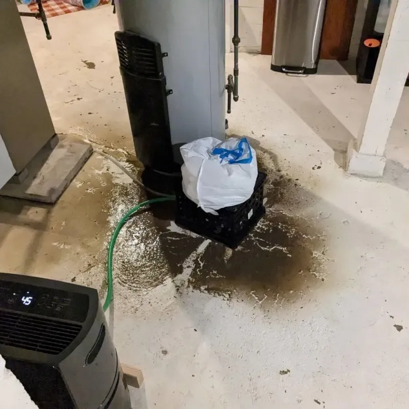 Sewage Backup Cleanup Service in Jasper, GA